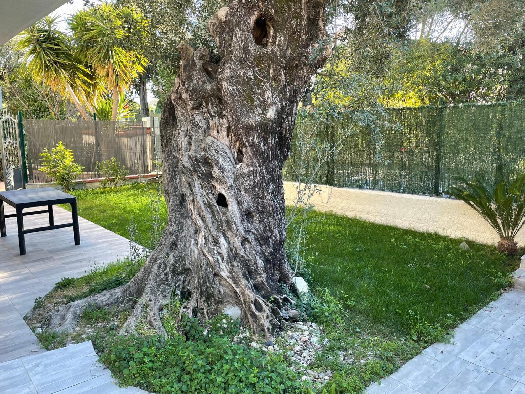 Joli Rez De Jardin 4 Pieces A Cagnes Sur Mer Exterior foto